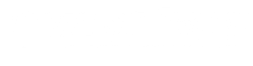 Capital Jet Charter